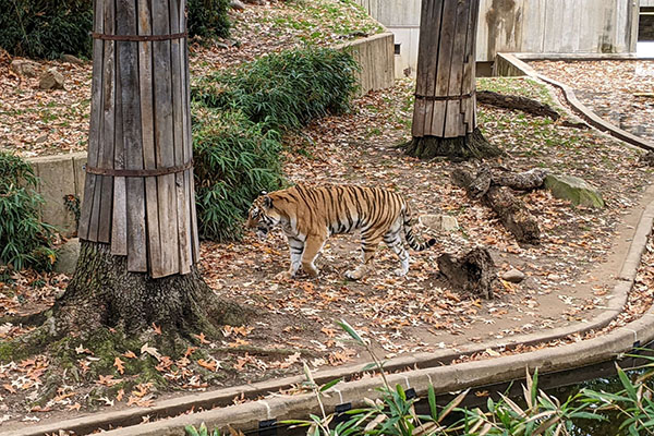 National Zoo