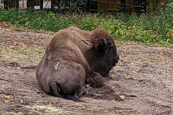 National Zoo