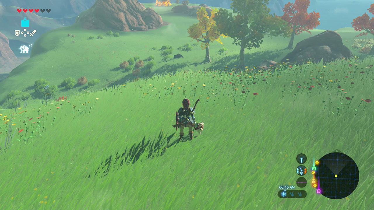 My, Hyrule, You Seem So Expansive
