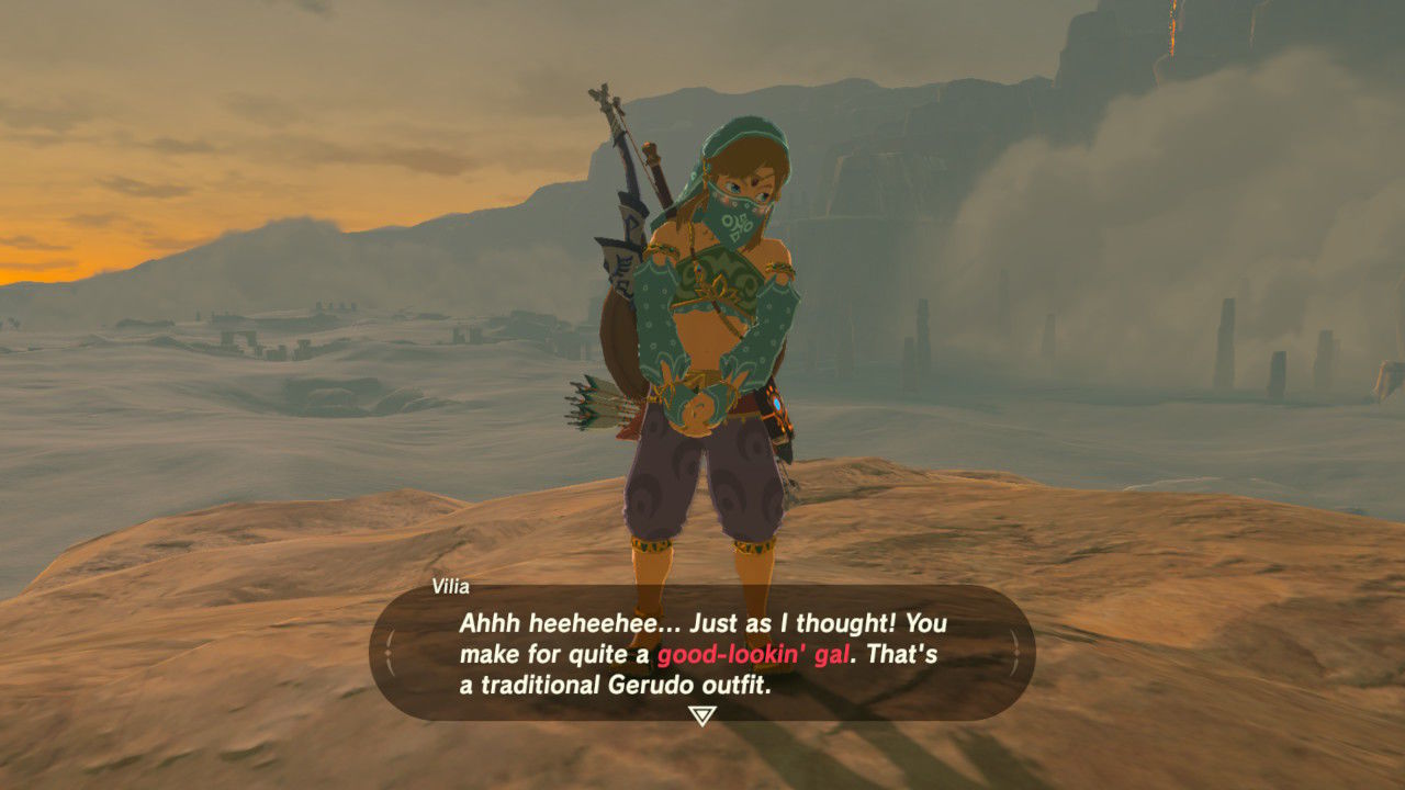 My, Hyrule, You Seem So Expansive