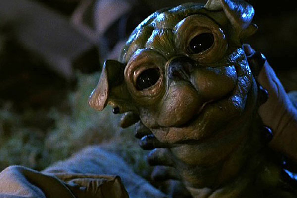 This house aint big enough for the two of us