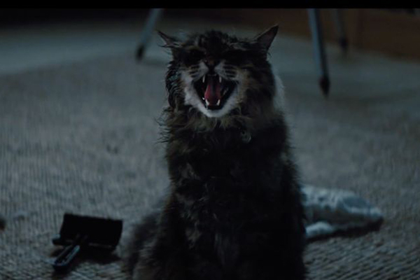 Pet Sematary