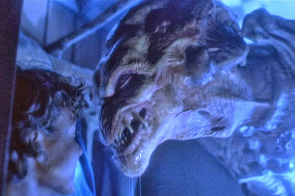 Much more famous than Pumpkin Piehead