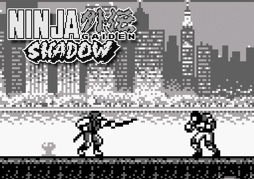 Ninja Gaiden Shadow